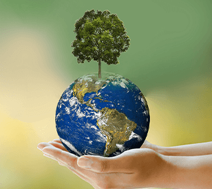 Servion Announces New Reforestation Initiative With the “One Agent, One Tree” Campaign