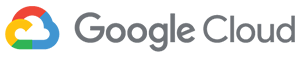 Technology partners Google CCAI
